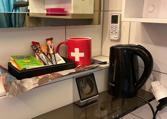 Felix's Homestay Lausanne